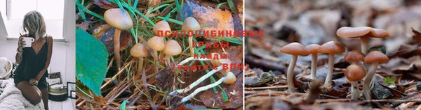 mdma Верхнеуральск